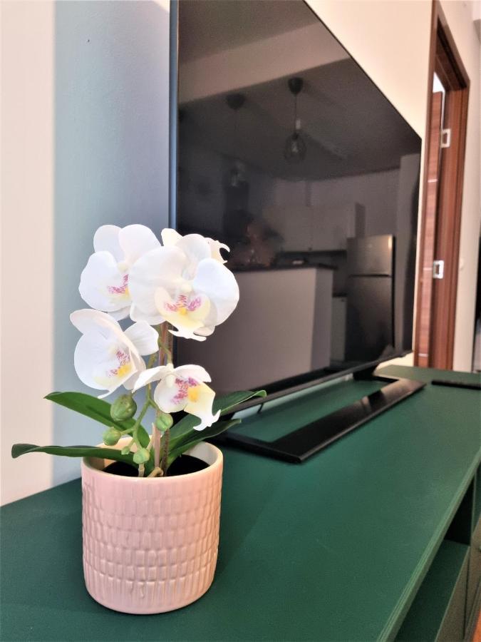 Summer Onix Mamaia Nord Apartament Нэводари Экстерьер фото